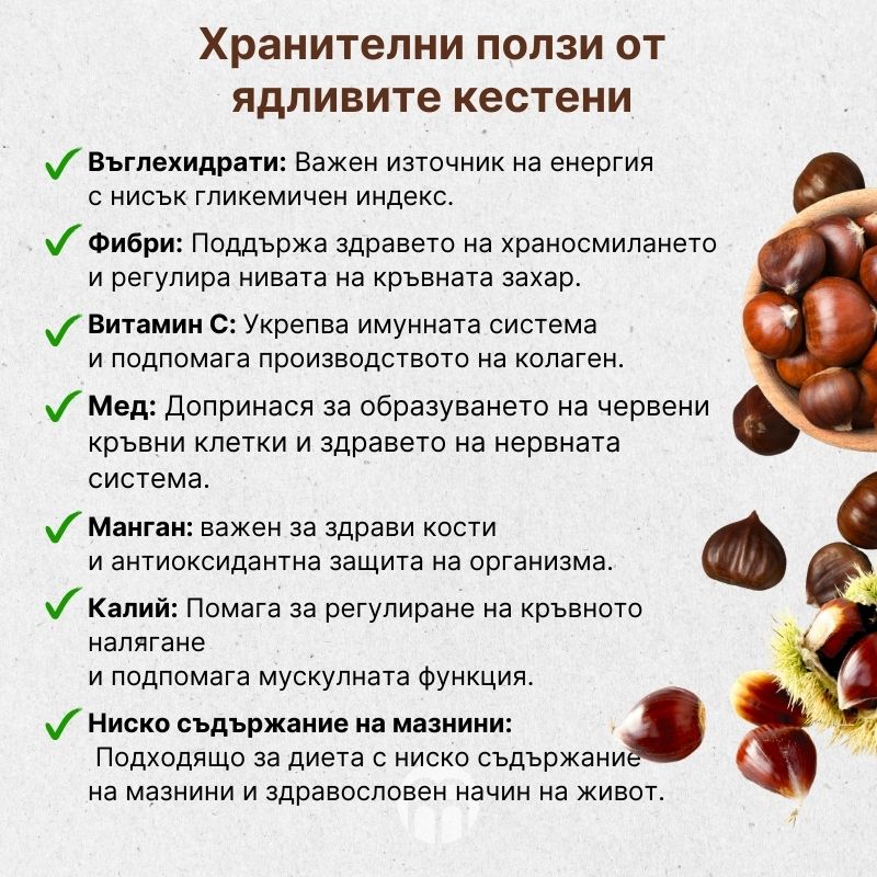 (Bulharština) Nutriční benefity jedlých kaštanů